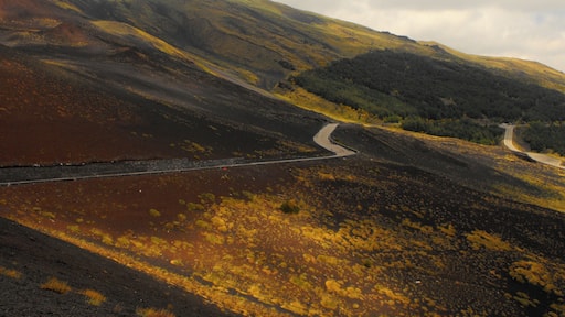 Etna volcano. Sicily, Italy. Jul 2010