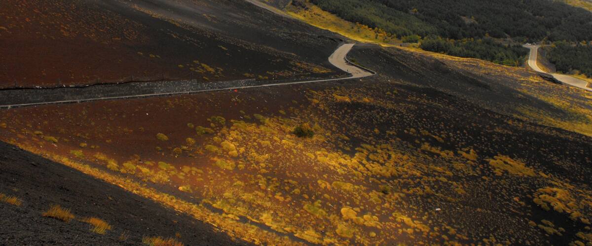 A winding road through a mountainous landscape with patches of yellow lichen and green trees.