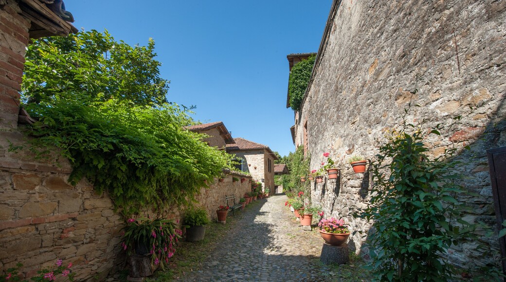 Tagliolo borgo antico