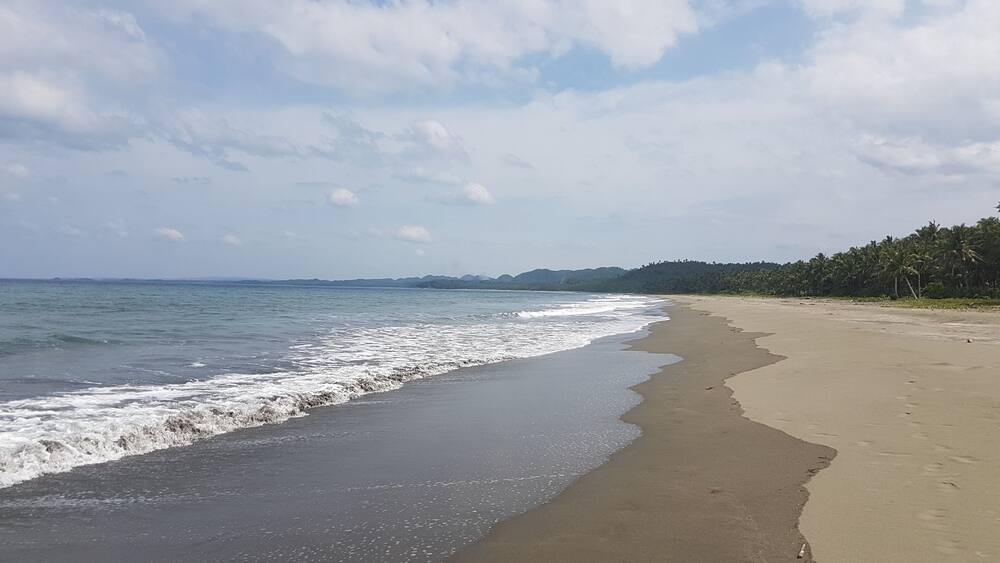 A beach with a sandy shore and gentle waves.