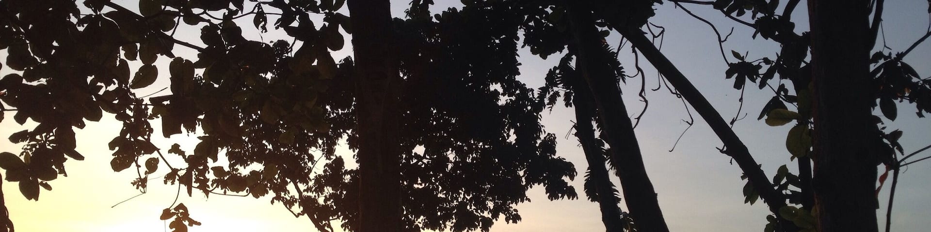 a sunrise in borongan seawall , an early morning walks embraced the fresh and cold breeze of the air .