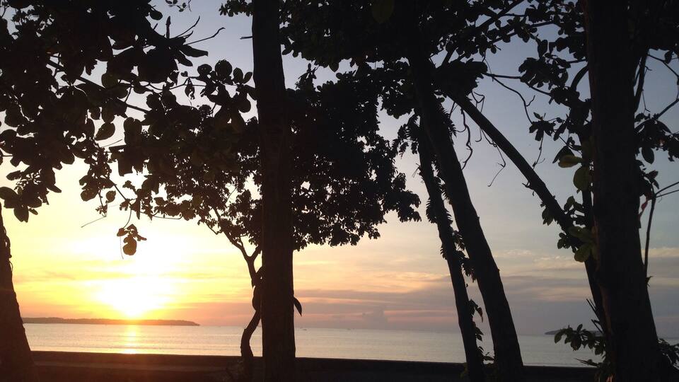 A sunset over a body of water with silhouetted trees in the foreground.