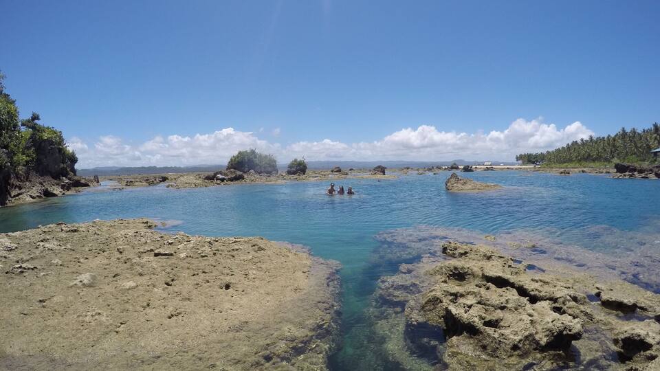 A clear blue lagoon with rocky shores and palm trees in the background.