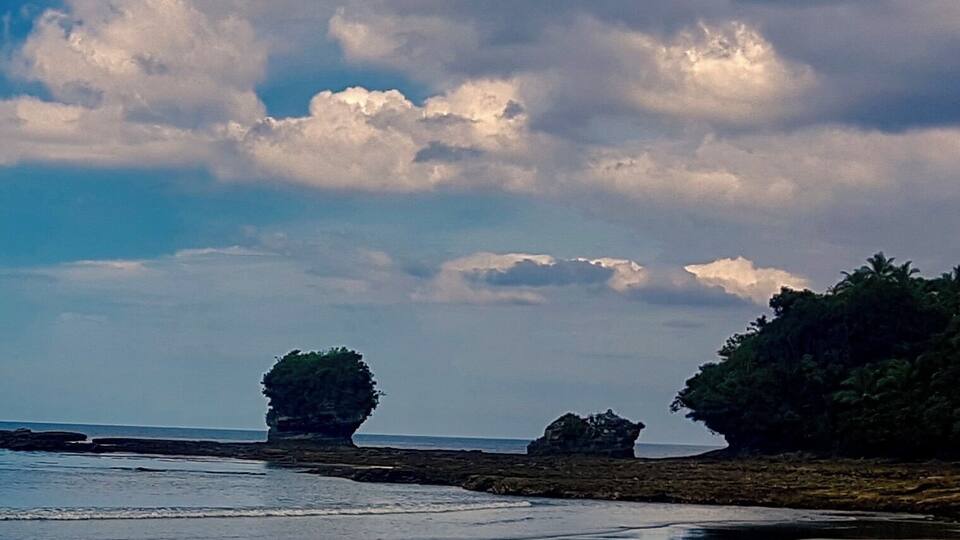 A beach with calm waters, a rocky outcrop, and a tree on the shore.