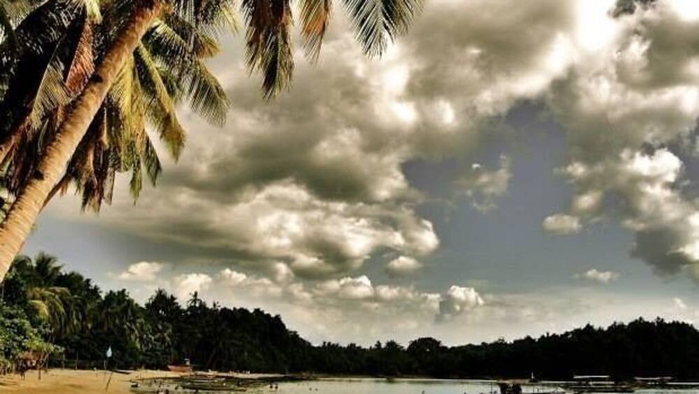 Une plage bordée de palmiers, un ciel nuageux et des bateaux sur l’eau.