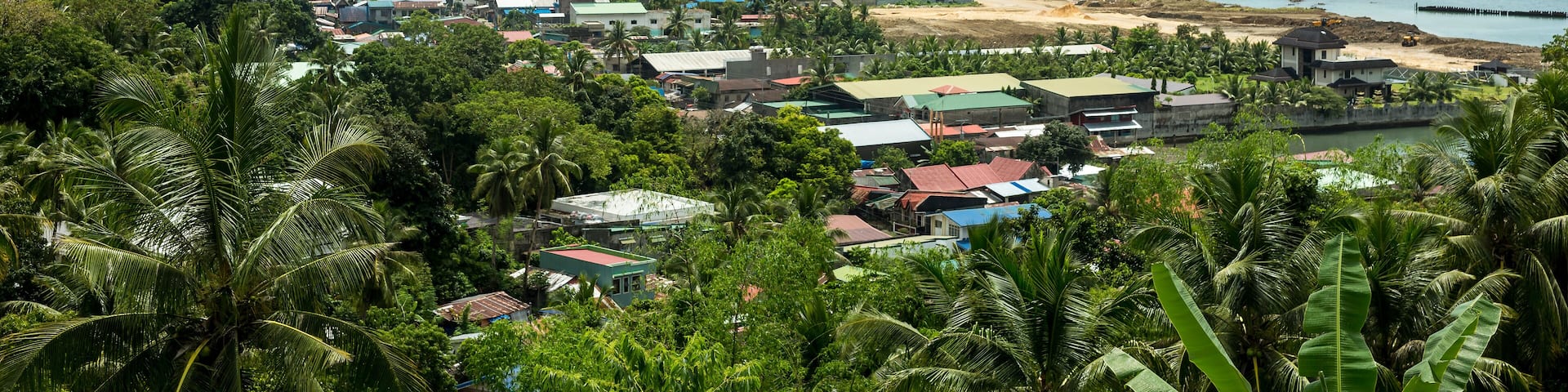 A coastal town with a harbor, buildings, and lush greenery.