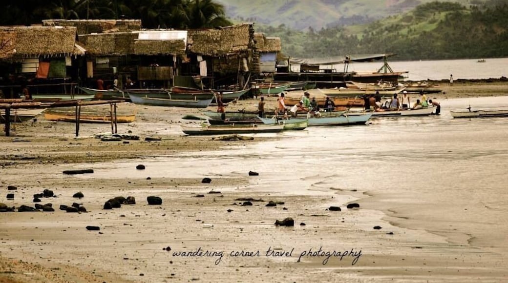 Low tide at the Sunshine Beach resort, where childhood memories were made