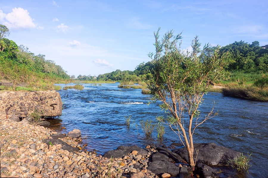 Beautiful Pioneer River at Marian looking East.