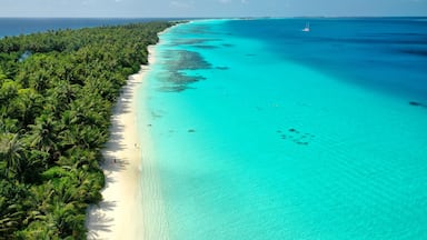 Bird's eye view of tropical islands in the ocean. View of the islands from a drone. Maldives, Thinadhoo (Vaavu Atoll), Dhigurah