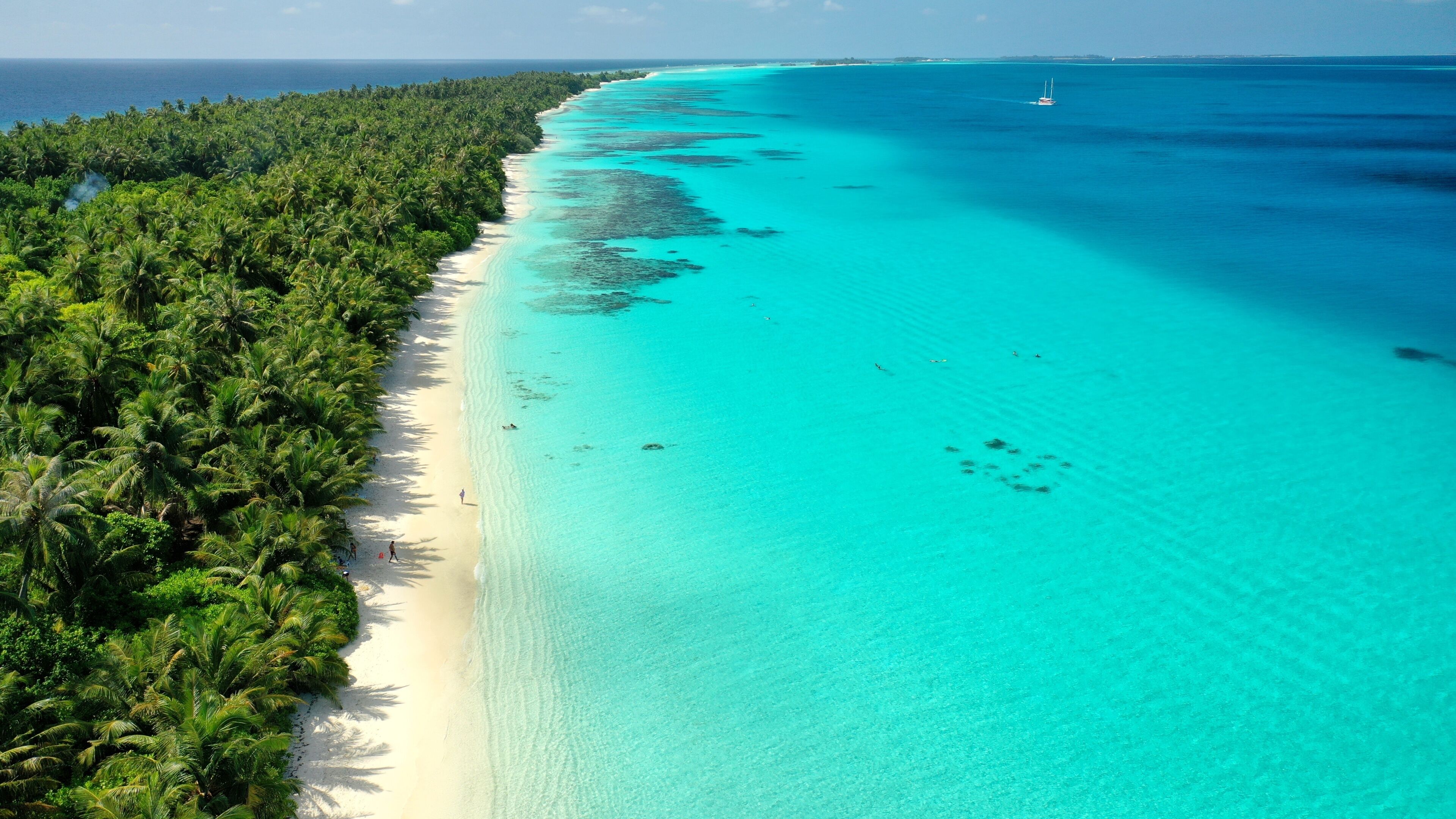 A turquoise beach with dense palm trees and clear blue water.