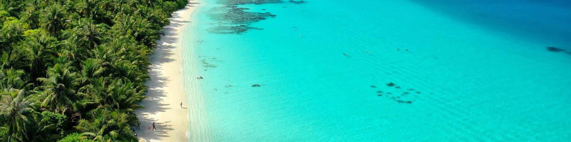A turquoise beach with dense palm trees and clear blue water.