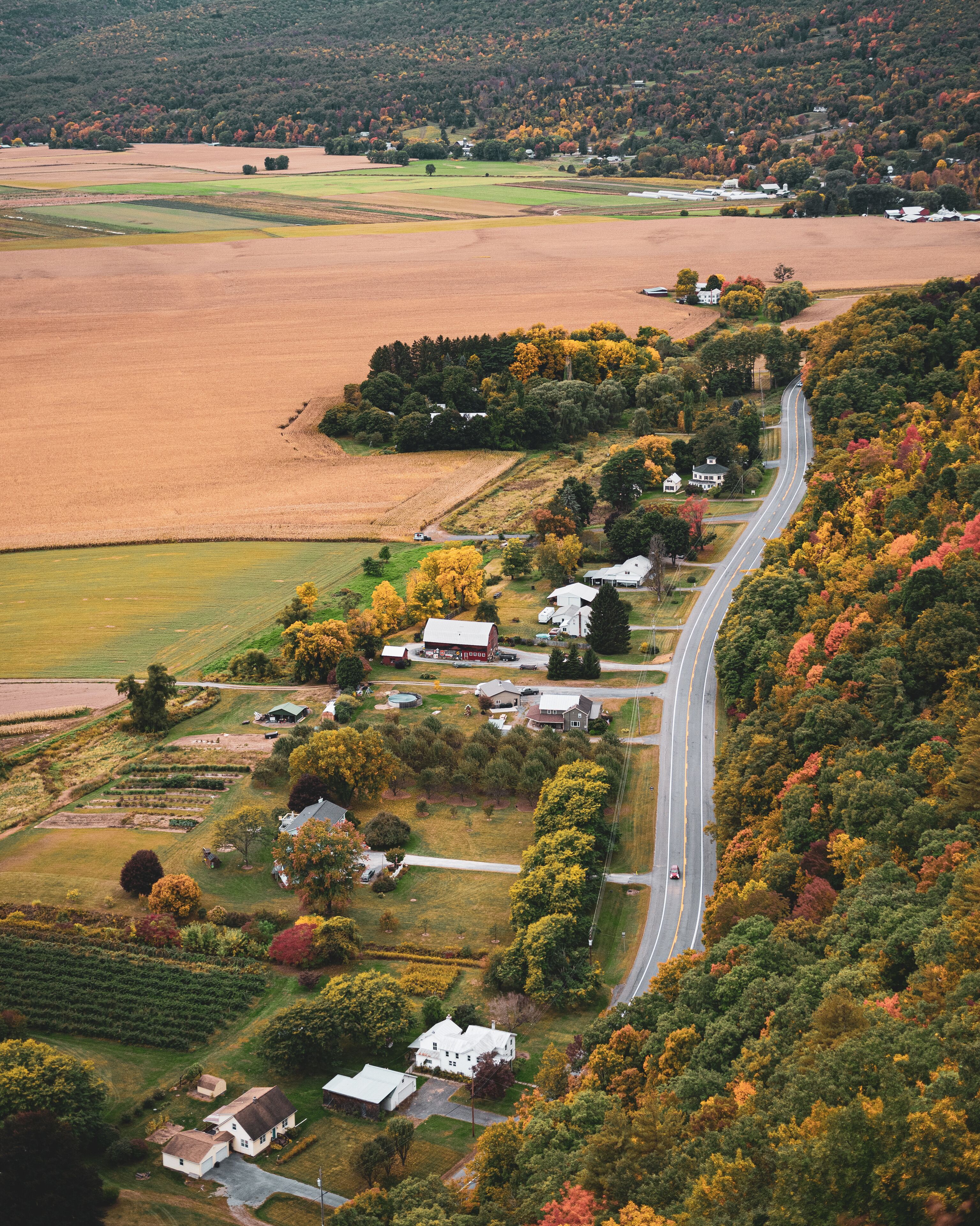 A rural landscape with a winding road, fields, and houses surrounded by autumn-colored trees.