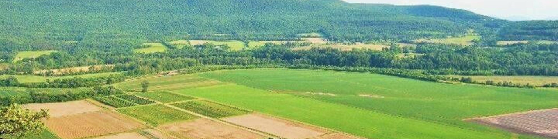 Upstate NY is beautiful.