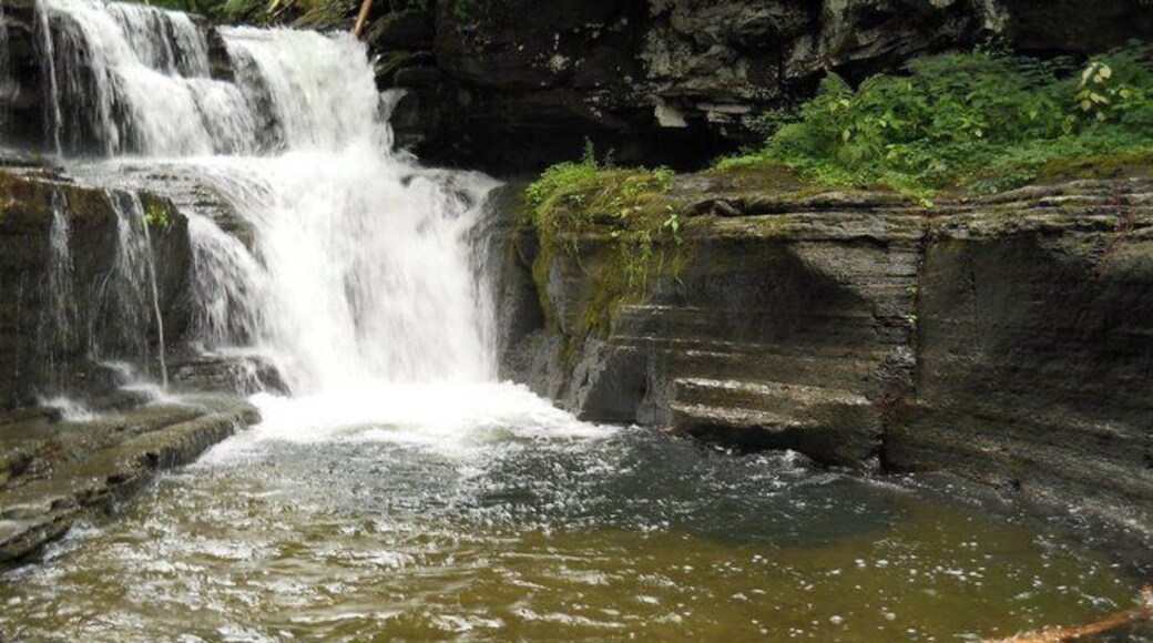 This is a locally known waterfall called Fat Man's Falls near the cemetery on Clauverwie Rd in Middleburg, NY. The section further right is a slick flat 'slide' that plunges you into the falls, or you can jump from the boulders around it. Feeds into a larger swimming area in the creek.
More on www.ajauntwithjoy.com