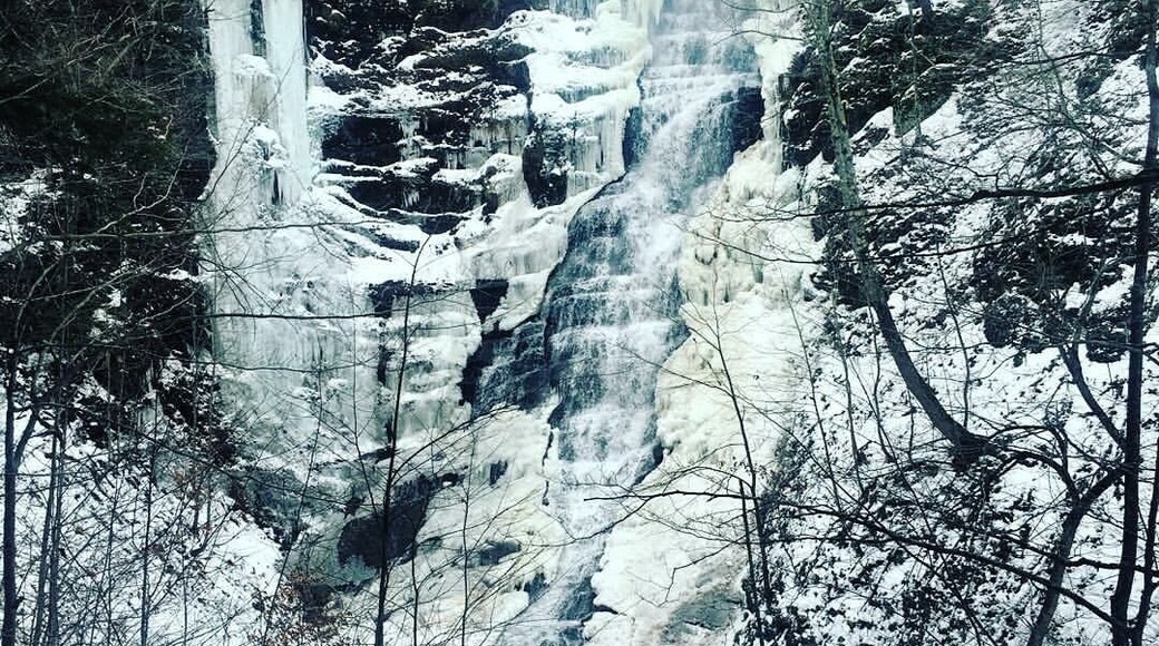 Pratts falls #prattsfalls #waterfalls #hiking #upstateny #waterlust #roadtrip