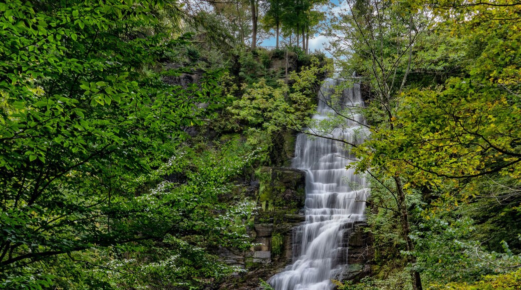 Pratt Falls In New York