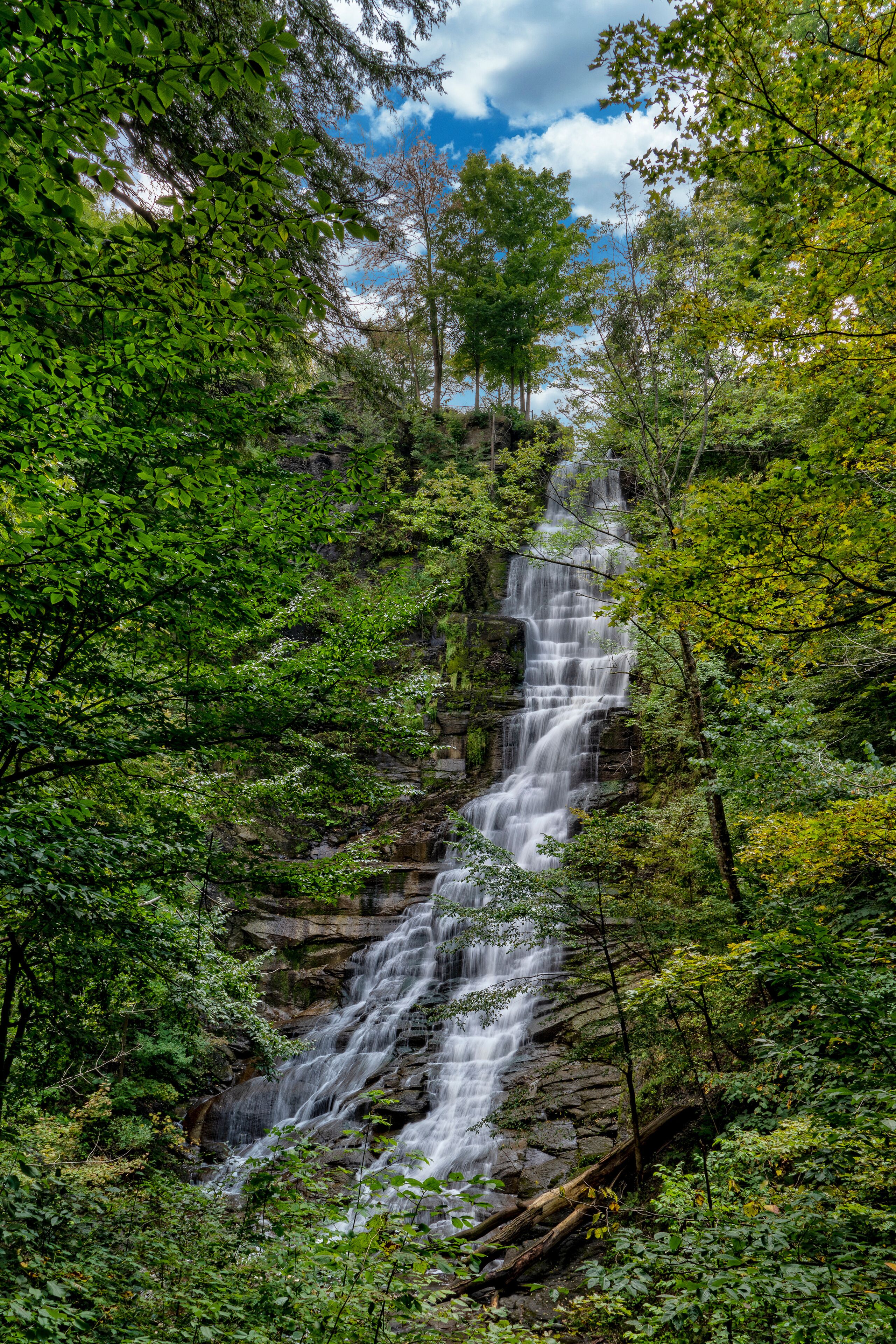 A waterfall cascading down a rocky cliff surrounded by dense green foliage.