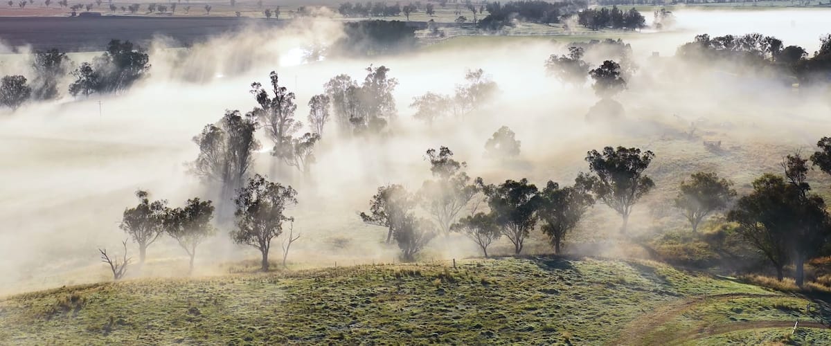 Aerial View of Foggy Sunrise Over Eucalyptus Trees in Tamworth Australia