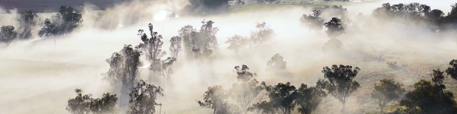 Aerial View of Foggy Sunrise Over Eucalyptus Trees in Tamworth Australia