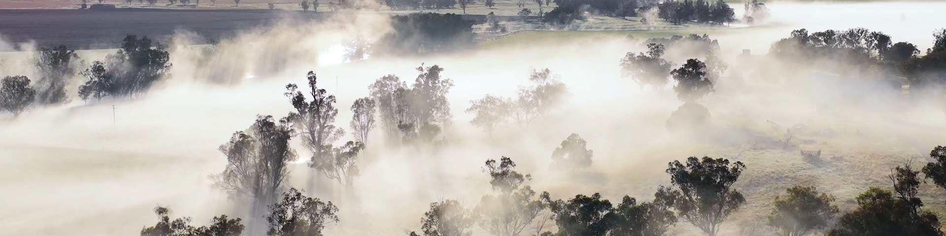 Aerial View of Foggy Sunrise Over Eucalyptus Trees in Tamworth Australia