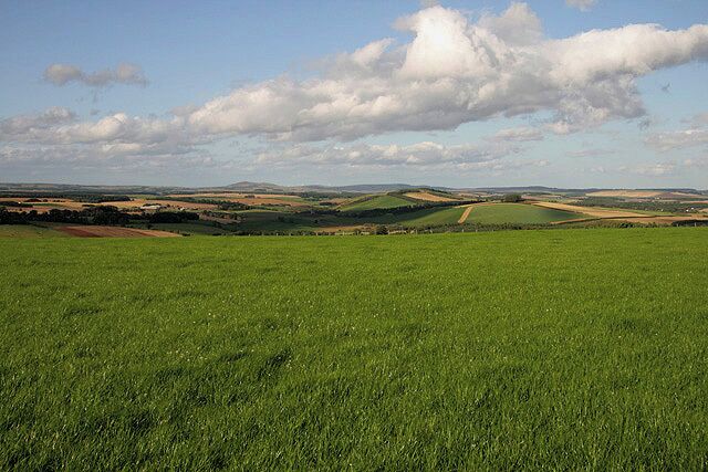 A green field with rolling hills and a clear sky.