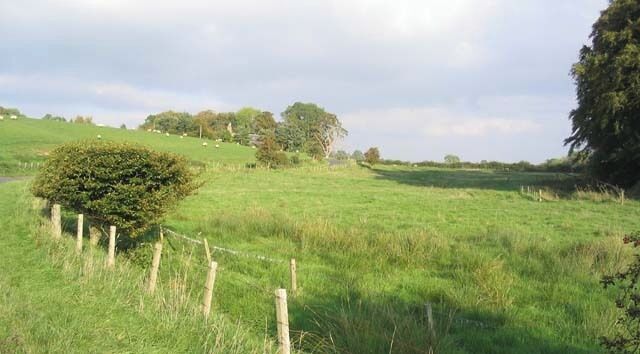 Rough grazing field near Legerwood