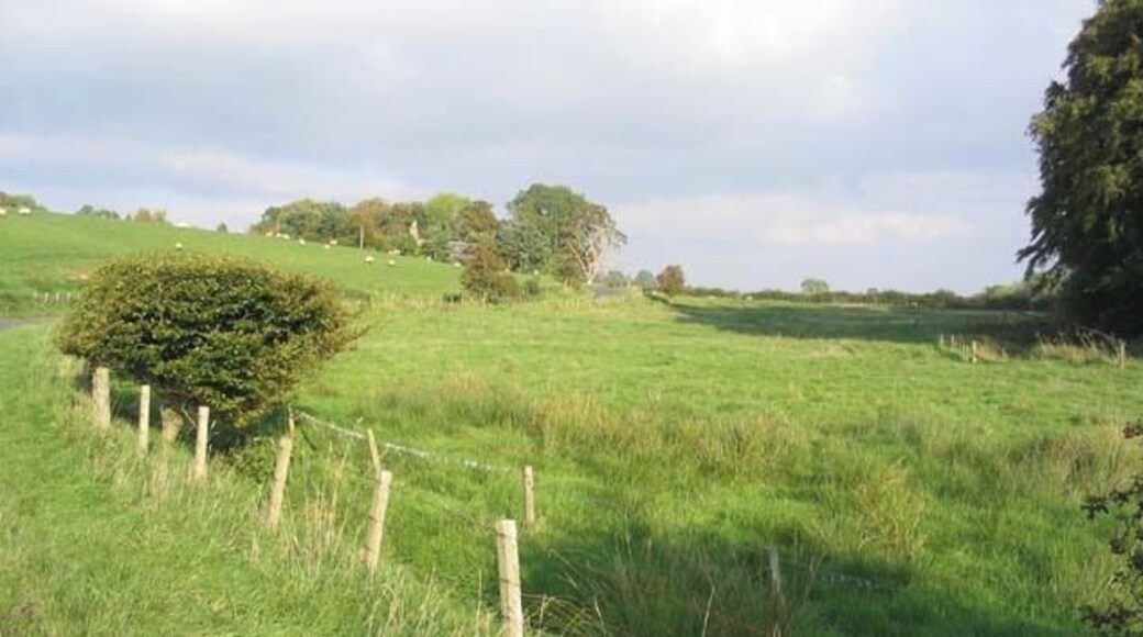Rough grazing field near Legerwood