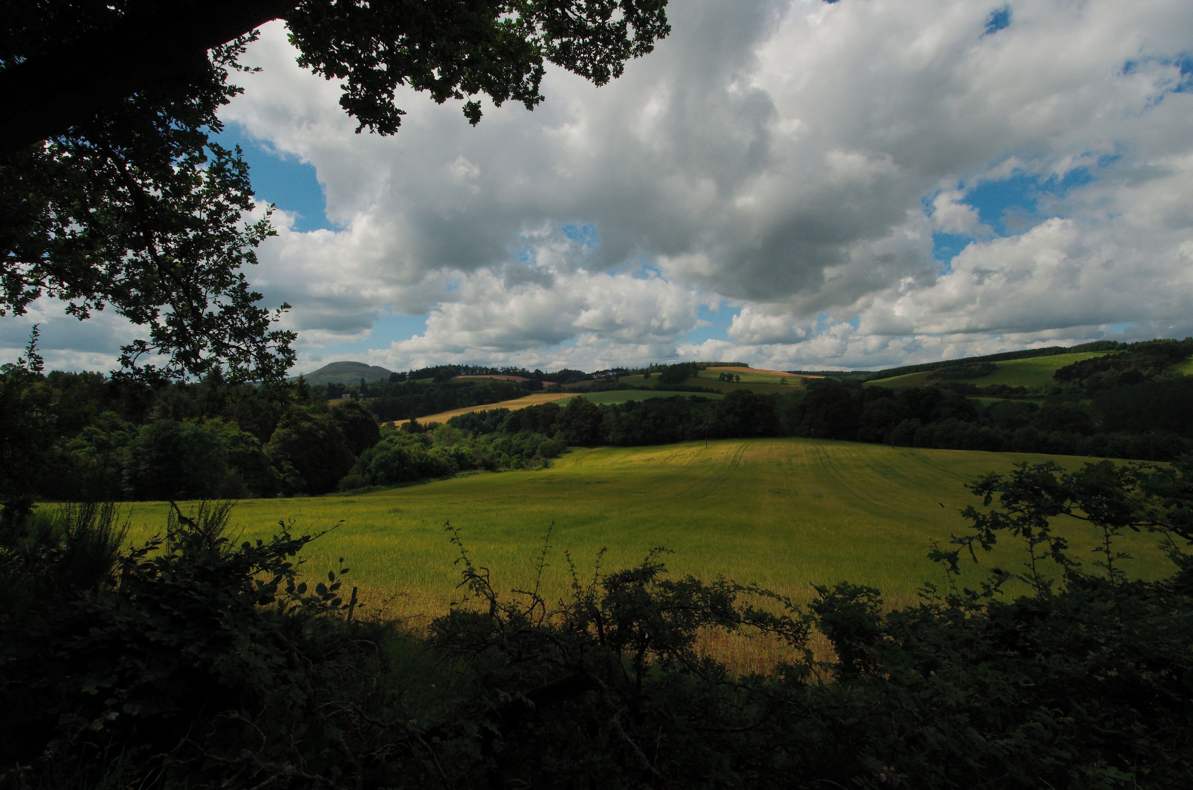 A rolling green landscape with hills and a cloudy sky.