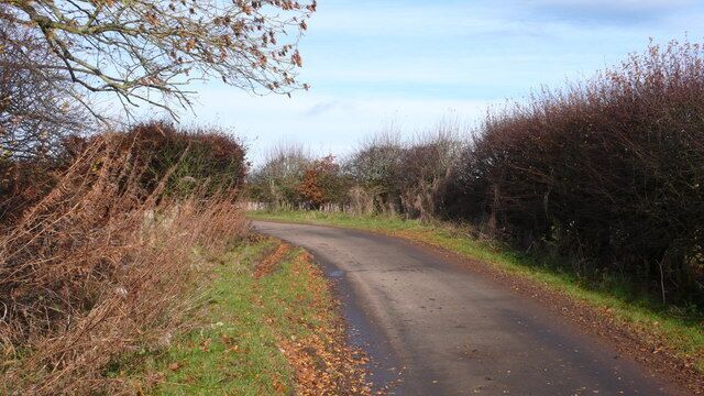 North from Legerwood It's a steep climb by bike out of Legerwood. The verges had many pleasants in them.