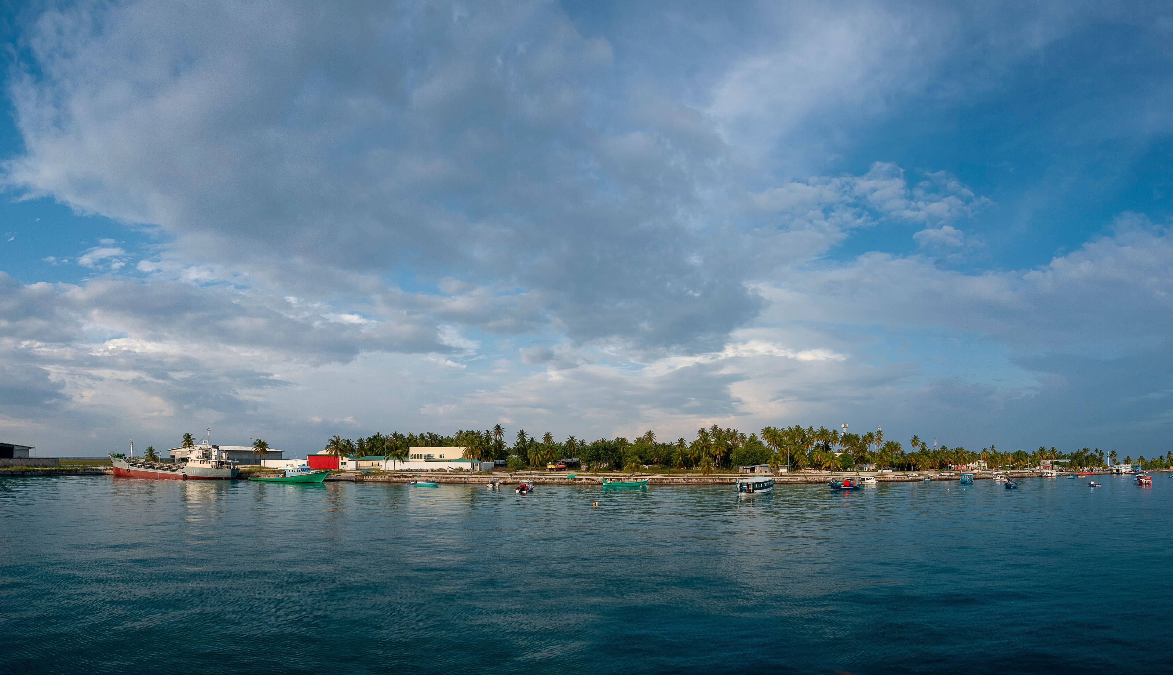 A coastal town with boats docked along the shore, palm trees, and a clear sky.