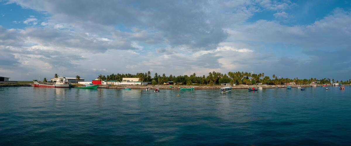 A coastal town with boats docked along the shore, palm trees, and a clear sky.