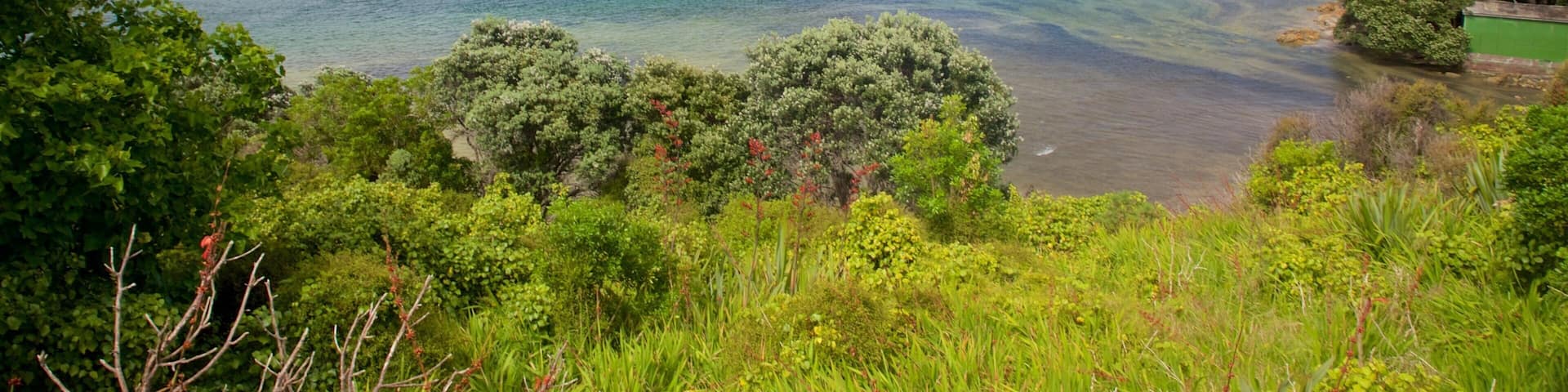 Mangawhai Heads 表示 河あるいは小川