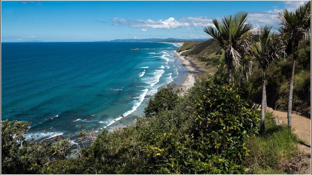 Looking south from the cliff walk. Mangwhai, Northland New Zealand