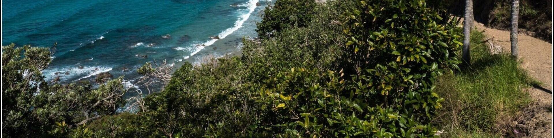 Looking south from the cliff walk. Mangwhai, Northland New Zealand