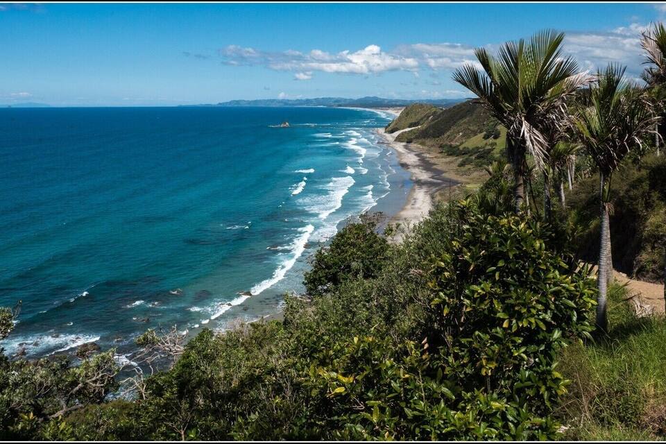 A coastal landscape with a beach, ocean waves, and palm trees.