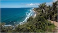 Looking south from the cliff walk. Mangwhai, Northland New Zealand