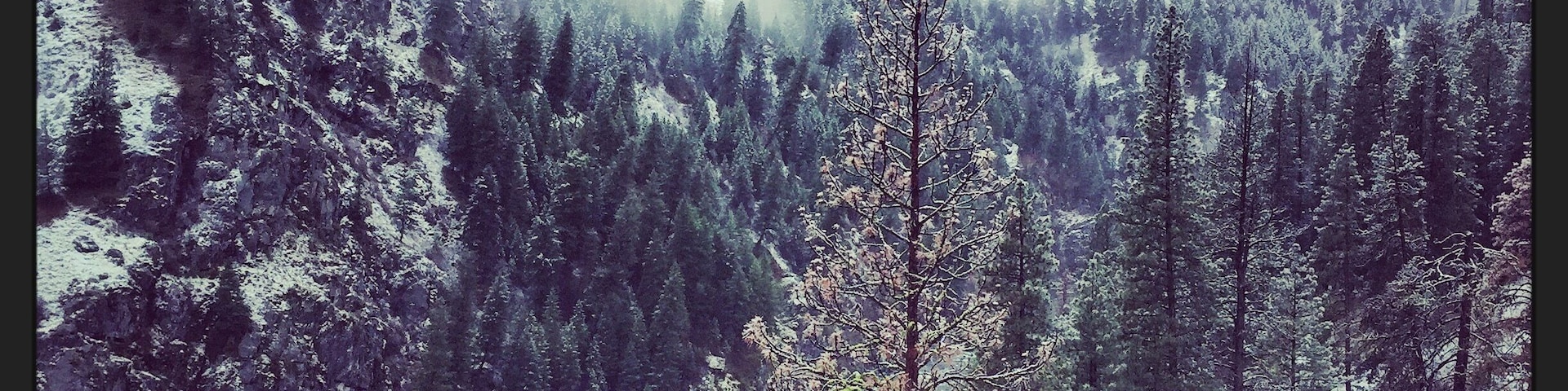 View from Skinny Dipper Hot Springs about a half mile hike up from the highway and South Fork Payette River on a snowy spring morning.