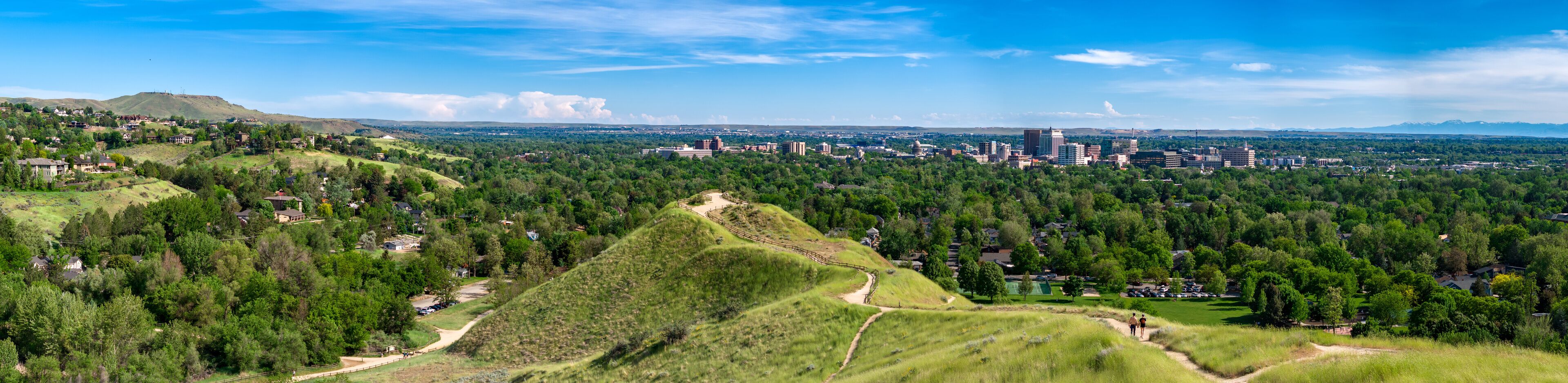 A cityscape with a prominent hill, dense forest, and a clear sky.