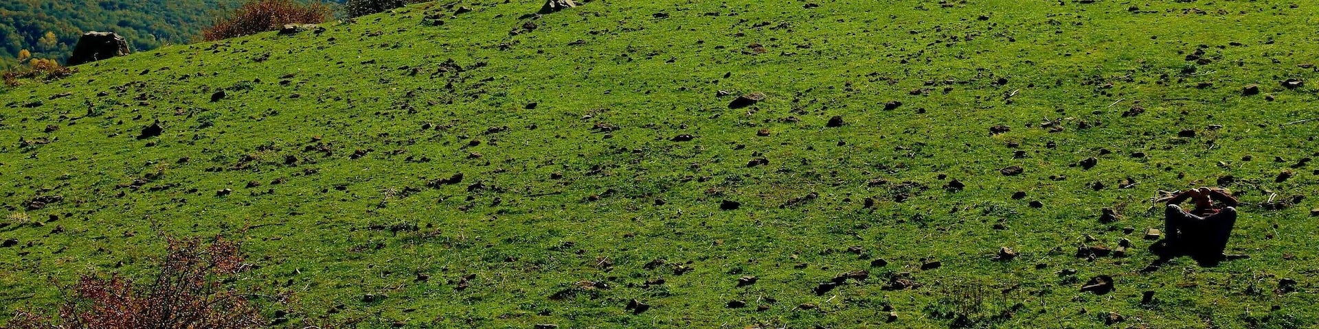 View of Etna 🌋, the biggest European Volcano.