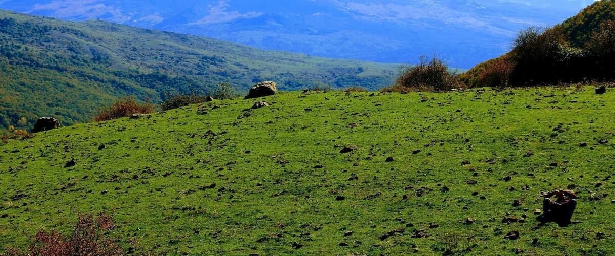 A green hillside with scattered rocks and a snow-capped mountain in the background.