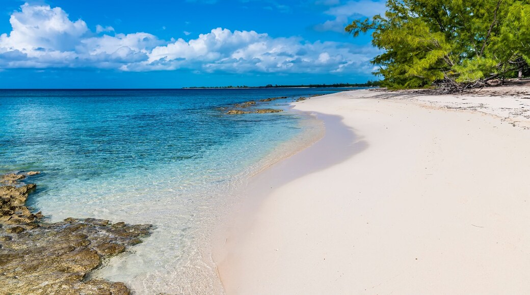 Rainbow Bay