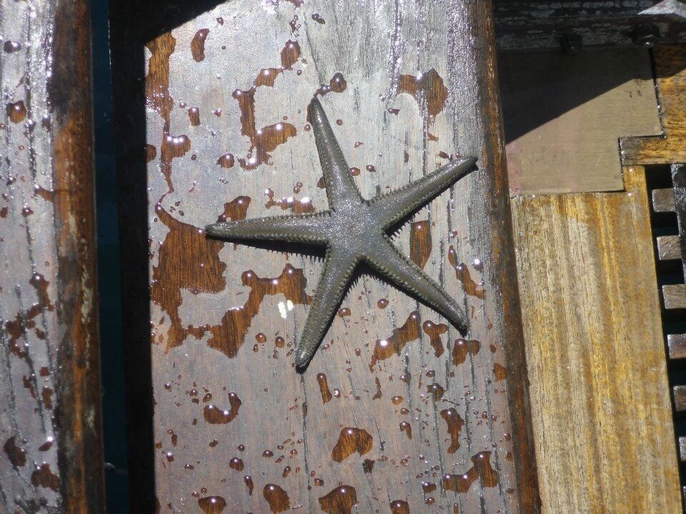 Sea gave us a lot of wonderful gift🐚