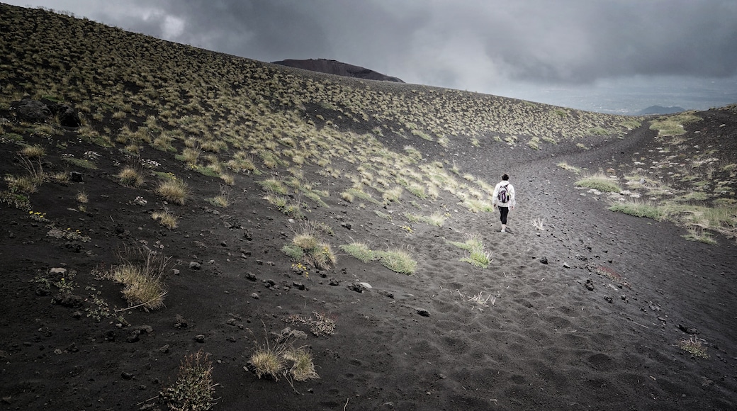 Looking for an #adventure? Try climbing Mt Etna. But make sure to stay on well traveled paths and oh, avoid the lava. (Not too long after this photo was taken, the volcano erupted in 2017.)