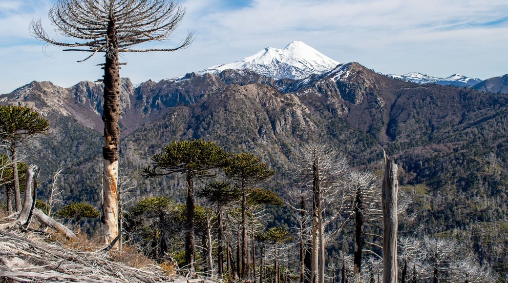 Llaima volcano from China Muerta National Reserve, Chile