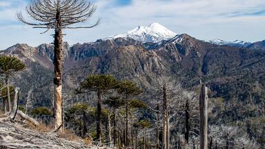 Llaima volcano from China Muerta National Reserve, Chile
