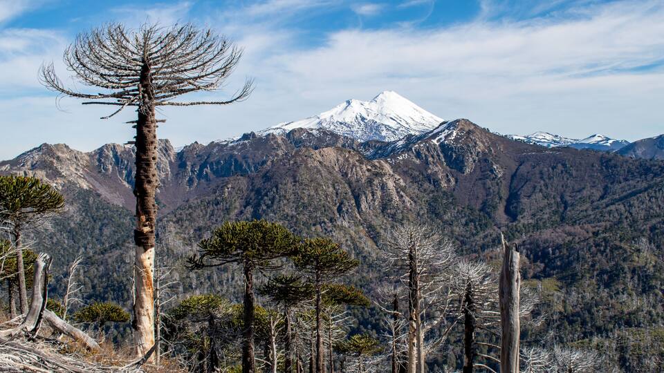 Llaima volcano from China Muerta National Reserve, Chile