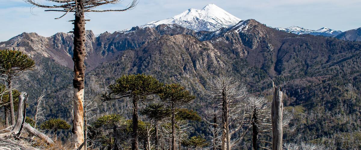 A snow-capped mountain range with a clear sky.