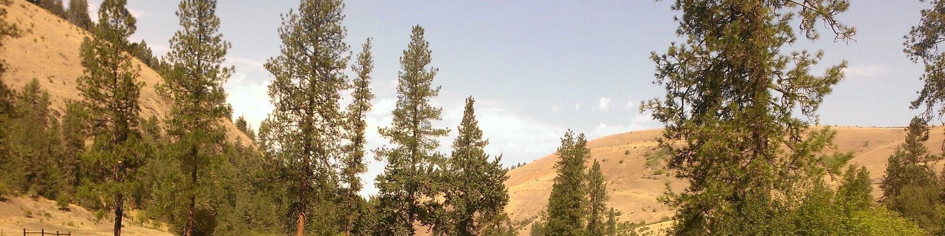 Beautiful ranch with horseback riding, fishing, and some rifles to shoot if you feel so inclined #lifeatexpedia