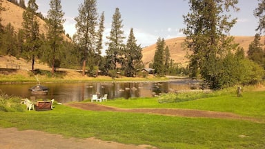 Beautiful ranch with horseback riding, fishing, and some rifles to shoot if you feel so inclined #lifeatexpedia