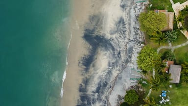 Beachfront Bliss: Playa Gorgona, Panama